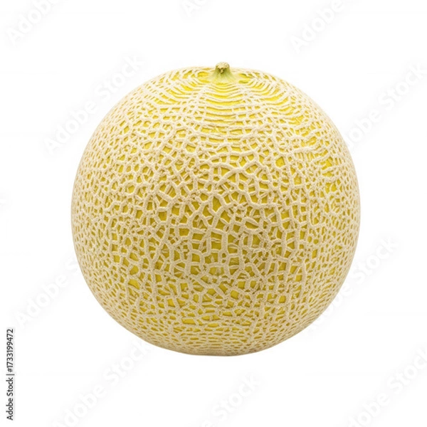 Fototapeta Round cantaloupe with textured yellow rind isolated on a transparent background melon fruit