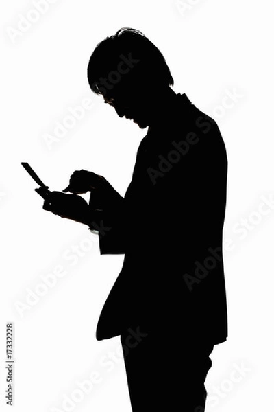 Fototapeta シルエット