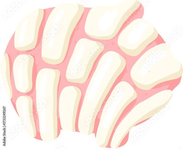 Fototapeta Cute Concha Illustration