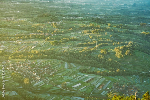 Fototapeta Aerial view of lush green terraced rice paddies and fields in a valley, bathed in soft sunlight.