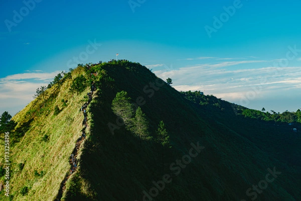 Fototapeta A scenic view of a grassy mountain ridge under a clear blue sky, with a visible hiking trail along the peak.