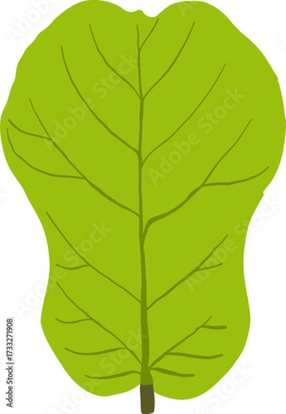 Obraz Fresh single green leaf macro close-up isolated on white background, showcasing natural organic botany texture, perfect for vector design