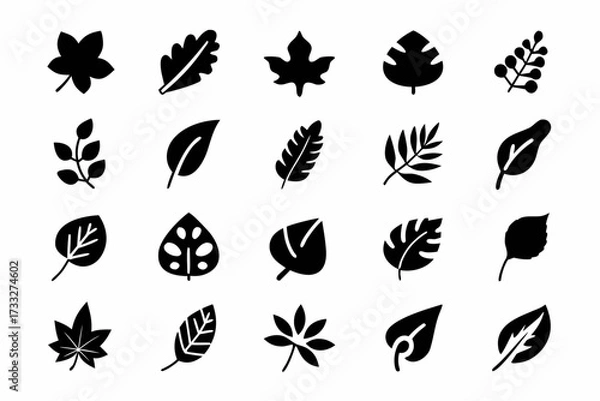 Fototapeta Set of different leaf silhouettes vector design