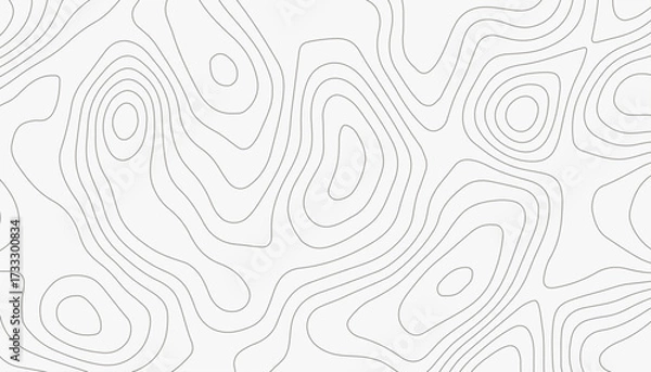 Fototapeta Minimal White Topographic Line Map Pattern