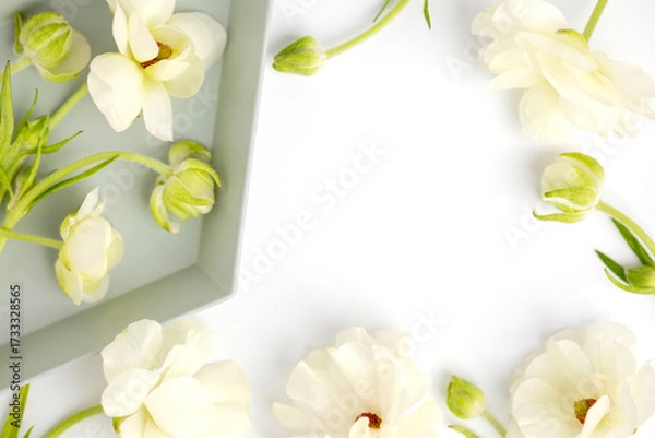 Fototapeta Flat lay composition of delicate white ranunculus flowers with green stems, artfully arranged with a tray on a bright white background. Copy space or product placement