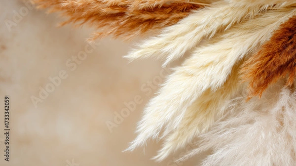 Fototapeta feathery. Bohemian-style pampas grass arrangement in neutral tones with warm sunlight. gardening catalogs, home-decor guides, designed for home decor and floral branding, used by food bloggers.