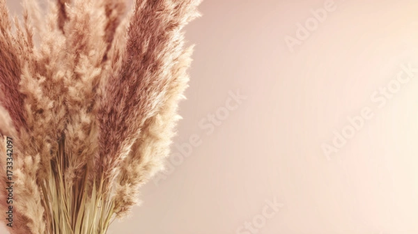 Fototapeta feathery. Bohemian-style pampas grass arrangement in neutral tones with warm sunlight. gardening catalogs, home-decor guides, designed for home decor and floral branding, used by food bloggers.
