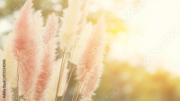 Fototapeta feathery. Bohemian-style pampas grass arrangement in neutral tones with warm sunlight. gardening catalogs, home-decor guides, designed for home decor and floral branding, used by food bloggers.