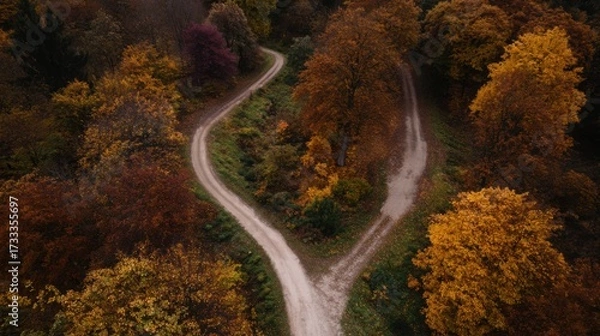 Fototapeta direction. Forked country road through autumn forest during golden hour, symbolizing choices and journeys. representing seasonal cycles and harvest abundance.