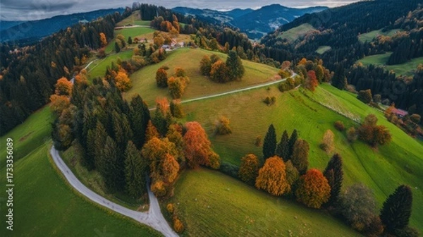Fototapeta direction. Forked country road through autumn forest during golden hour, symbolizing choices and journeys. representing seasonal cycles and harvest abundance.