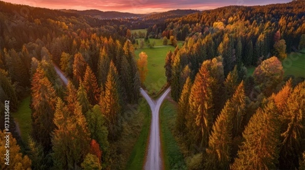 Fototapeta direction. Forked country road through autumn forest during golden hour, symbolizing choices and journeys. representing seasonal cycles and harvest abundance.