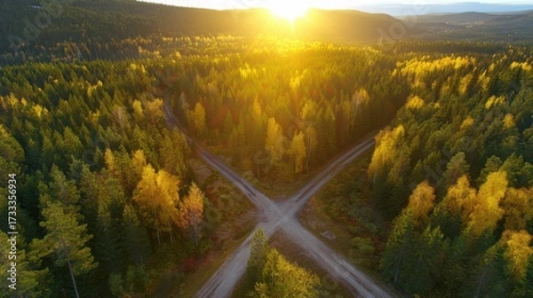 Fototapeta direction. Forked country road through autumn forest during golden hour, symbolizing choices and journeys. representing seasonal cycles and harvest abundance.