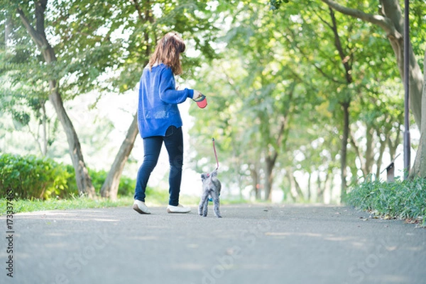 Fototapeta 犬の散歩、女性、歩く、走る