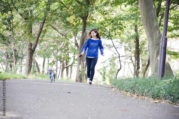 Fototapeta 犬の散歩、女性、歩く、走る
