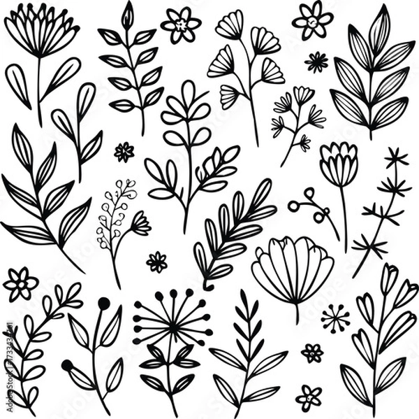 Fototapeta Botanical Line Art Collection Whimsical Floral and Foliage Elements for Creative Designs and Nature Inspired Aesthetic
