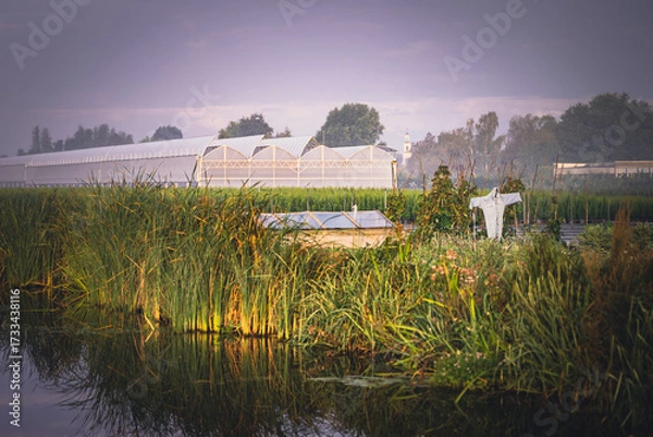 Fototapeta Small private vegetable garden with a scarecrow in the foreground and large industrial greenhouses in the background. Concept of traditional farming versus modern agriculture and food production.