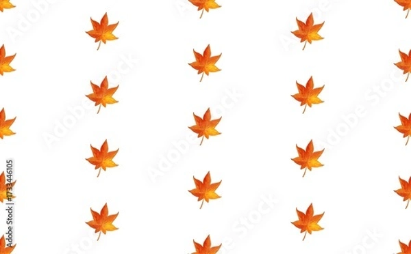 Obraz もみじ　③