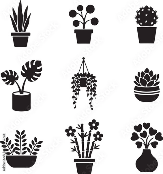 Fototapeta Array of Decorative plants: Showcasing a curated collection of elegant indoor plants, rendered in sleek black, offering a versatile design asset for botanical aesthetics. 