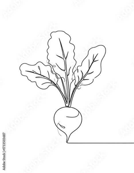 Fototapeta Single line drawing of a beet