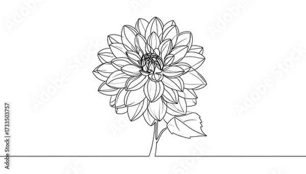 Fototapeta Single line drawing of a dahlia