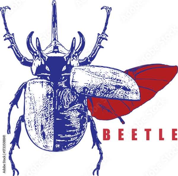 Fototapeta Rhinoceros Beetle Takeoff Illustration. Open Wings with Red Details. Blue and White Vintage Sketch Style. High Contrast Apparel Design. Entomology Art.