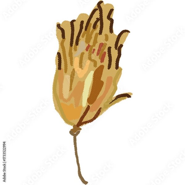 Fototapeta Drawing leaf illustrations unique ugly