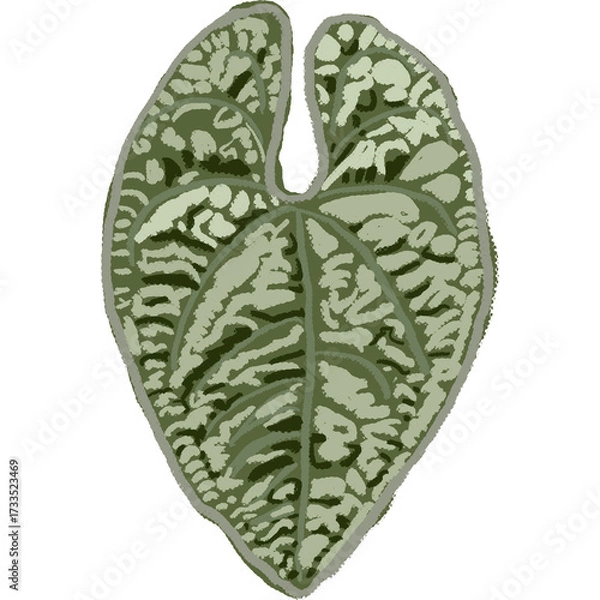 Fototapeta Drawing leaf illustrations unique ugly