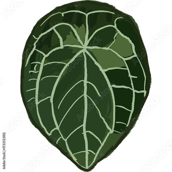 Fototapeta Drawing leaf illustrations unique ugly