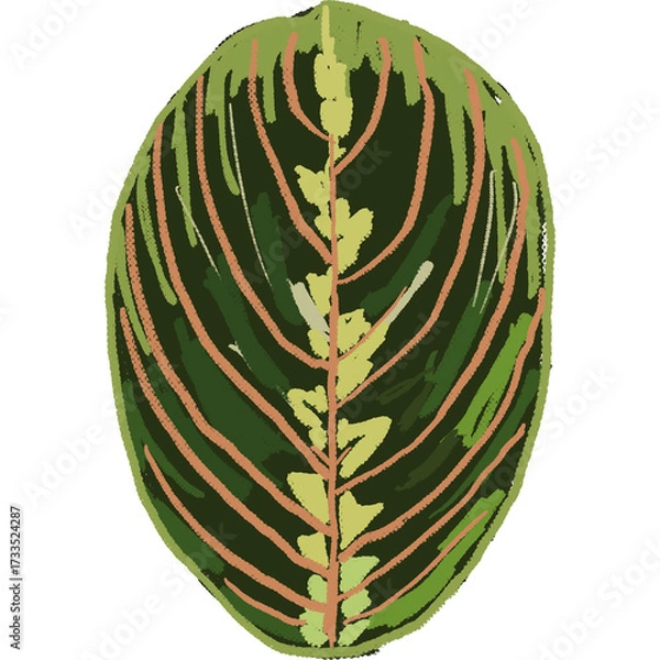 Fototapeta Drawing leaf illustrations unique ugly