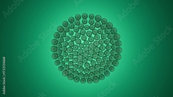 Fototapeta Cluster of biological cells forming circular structure with visible nuclei