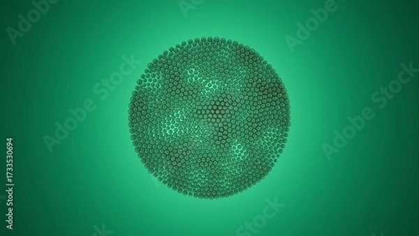 Fototapeta Dense spherical cluster of green biological cells with visible nuclei