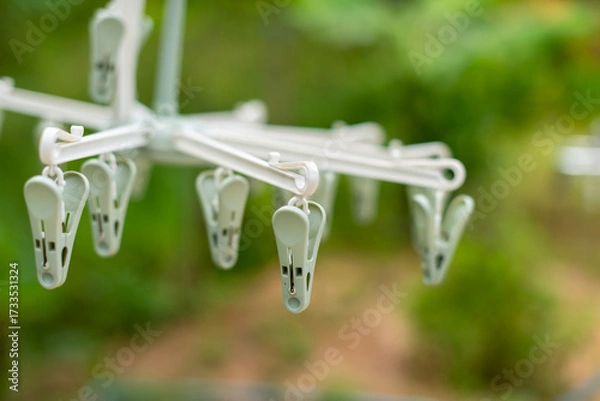 Fototapeta Clothes drying action with clips in nature outdoor environment close-up view for home use