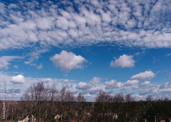 Obraz Bright blue sky with white clouds. Great background with copyspace