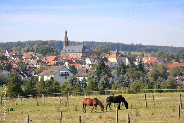 Obraz Beerfelden im Odenwald