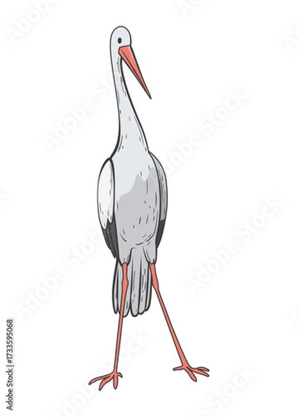 Obraz Crane bird in realistic style, high quality detail. Vector illustration