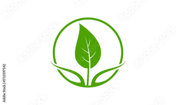 Obraz Leaf and wellness vector logo
