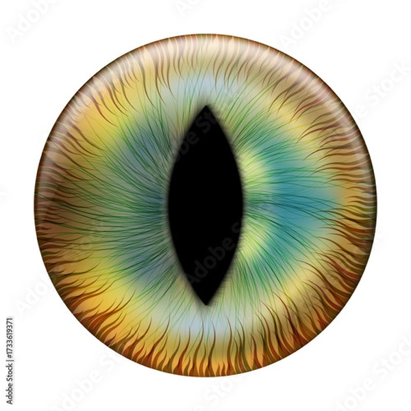 Obraz Yellow, brown, and blue cat eye with slit pupil. Contact lenses featuring a dragon, reptile, or crocodile. Vector illustration.