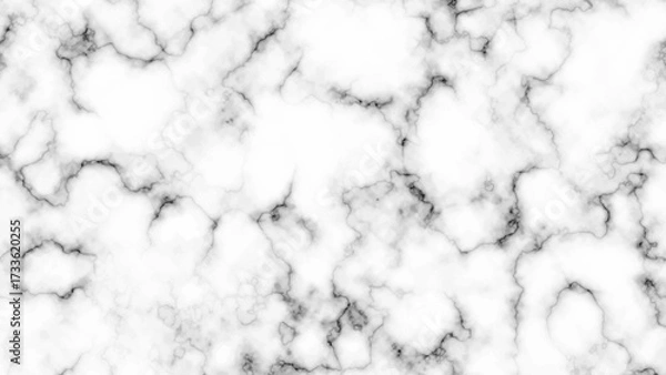 Fototapeta Elegant black and white stone texture for flooring or countertops. Modern abstract mineral wallpaper with subtle, classic marbling effect.