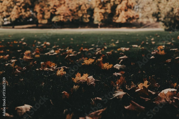 Fototapeta Autumn leaves scattered on the grass in a park. A serene autumnal scene featuring fallen leaves on a grassy field, with trees in the background, creating a warm, inviting atmosphere Fall season nature