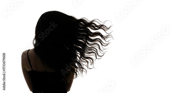 Obraz Silhouette of a woman with long wavy black hair blowing in the wind isolated on white