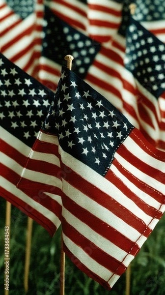 Fototapeta Small American flags display pride in a grassy area during a celebration or remembrance day, symbolizing unity and patriotism among the community