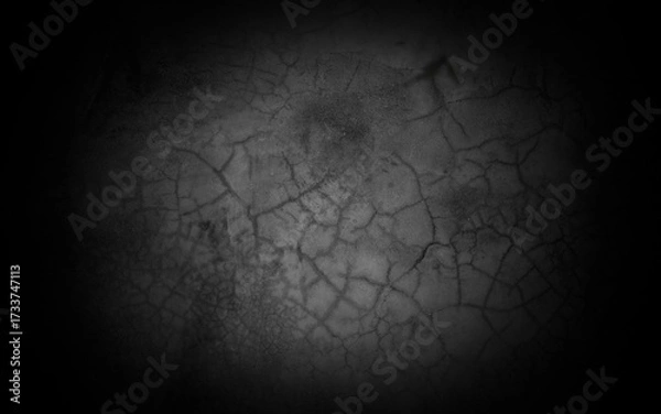 Fototapeta Old wall texture cement dark black gray background abstract grey color design are light with white gradient background.