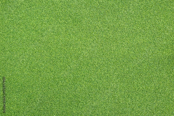 Fototapeta Bright green artificial grass can use for background and design.