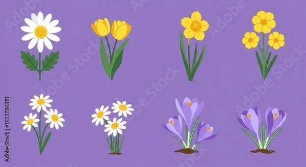 Fototapeta Illustration Set of Spring Flowers with Tulips, Daisies, and Daffodils