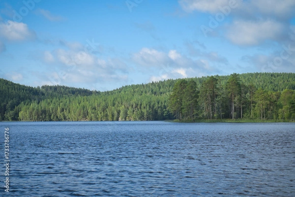Fototapeta Swedish lake with forest reflection under blue sky on a sunny day