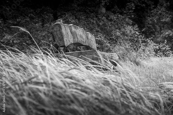 Obraz Einsame Massive Holzbank im Wald.
