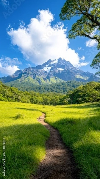Fototapeta A scenic landscape featuring a mountainous backdrop with snow-capped peaks, lush greenery, and a winding path through a grassy field, Ideal for travel, nature brochures, and outdoor-themed content,