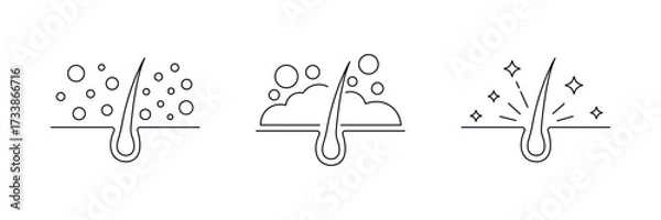 Fototapeta hair care icon set. dandruff, scalp, shiny line icon. vector illustration . cosmetic product badge label set. 