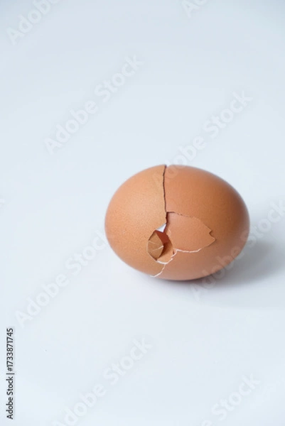 Fototapeta Broken egg shell isolated on white background