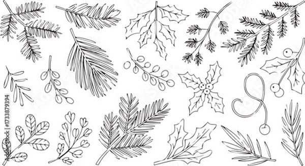 Fototapeta Vector art of collection of handdrawn botanical leaves and branches